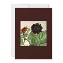 Petite carte de Sunflower pour écriture manuscrite