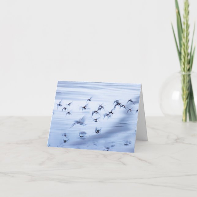 Petite carte de vacances pliée de 4 po x 5,6 po (Devant)