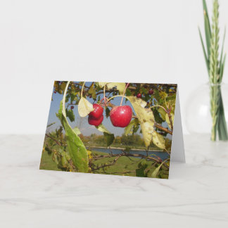 Petite carte de voeux rouge de pommes