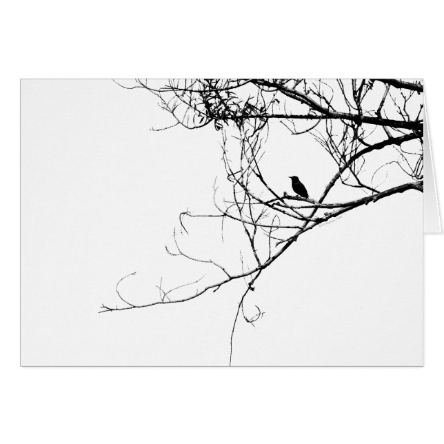 Petite carte d'oiseau noir (Devant Horizontal)