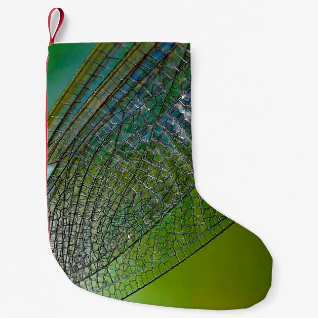 Petite Chaussette De Noël Ailes de libellules nature proche insecte (Devant)