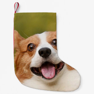 Petite Chaussette De Noël Ajouter photo de chien personnalisé Customisé