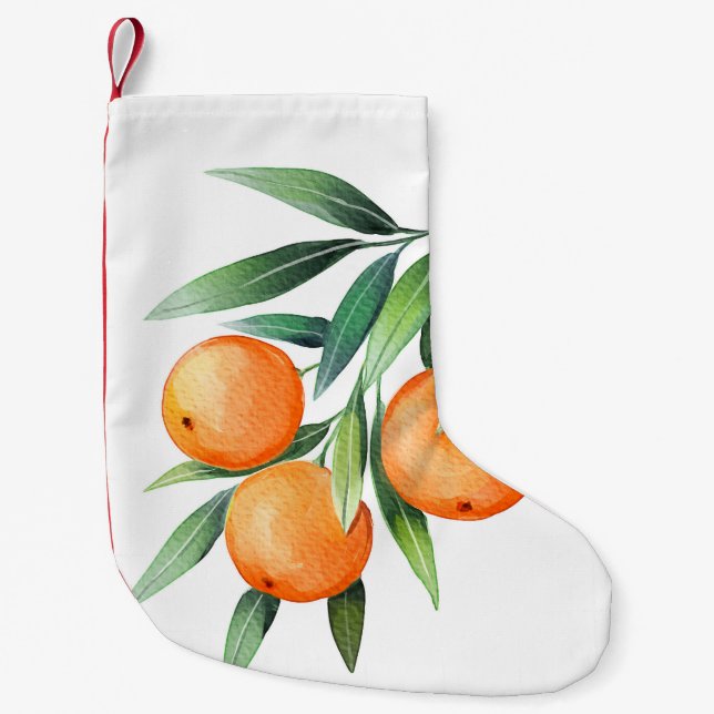 Petite Chaussette De Noël Aquarelle Orange Fruits : Branches Isolées. (Devant)