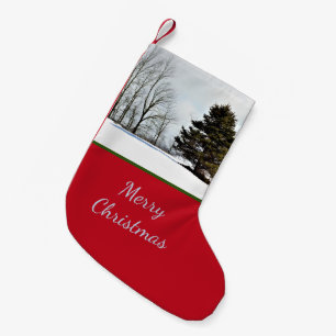 Petite Chaussette De Noël Arbre À feuillage persistant hiver