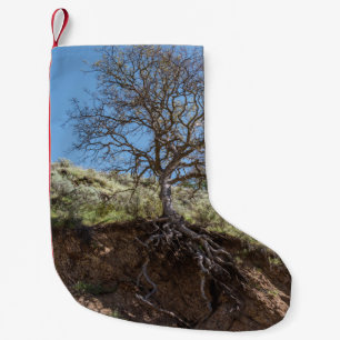 Petite Chaussette De Noël Arbre nu en montagne pendant la journée