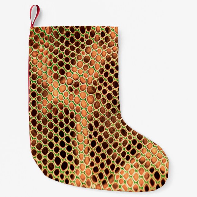Petite Chaussette De Noël Arrière - plan de peau de serpent (Devant)