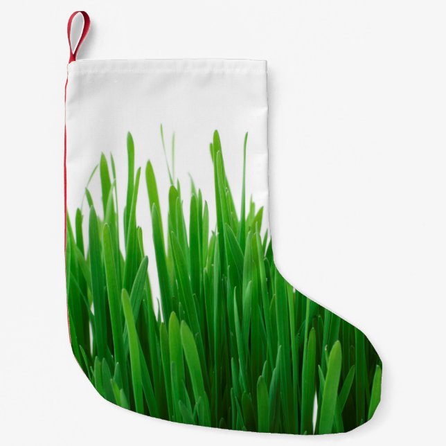 Petite Chaussette De Noël Arrière - plan fermer la flore fraîche (Devant)