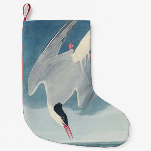 Petite Chaussette De Noël Art côtier vintage de la sterne arctique d'Audubon