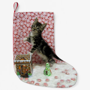 Petite Chaussette De Noël Bandit's Sweet Christmas - Chat mignon