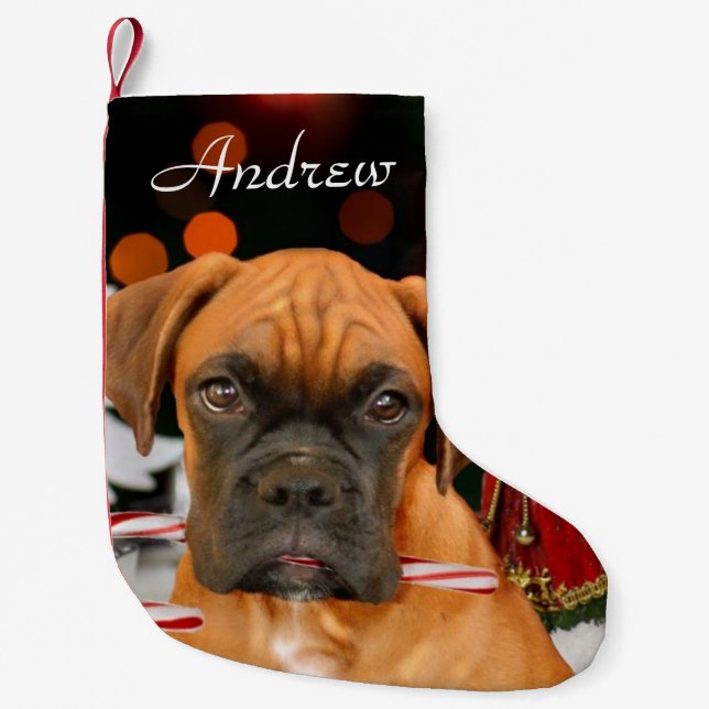 Petite Chaussette De Noël Bas de chien de boxeur de Noël (Devant)
