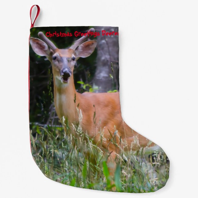 Petite Chaussette De Noël Bas de Noël (Devant)