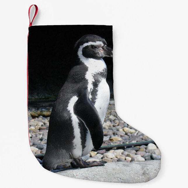 Petite Chaussette De Noël Bas de Noël pingouin (Devant)