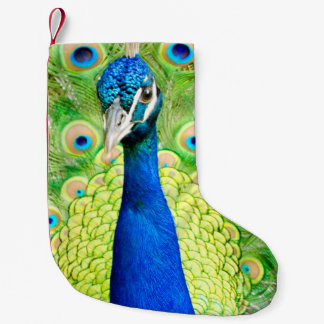 Petite Chaussette De Noël Bas de paon