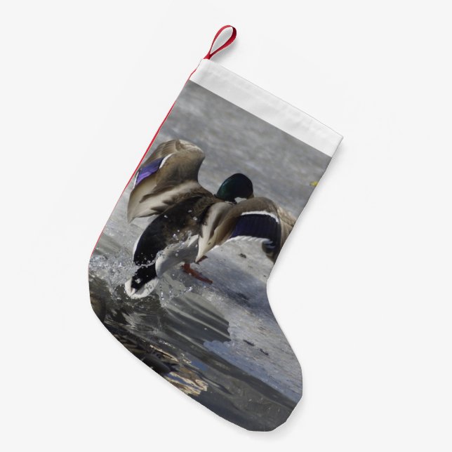 Petite Chaussette De Noël Bas de vacances de canard (Devant (Accrochage))