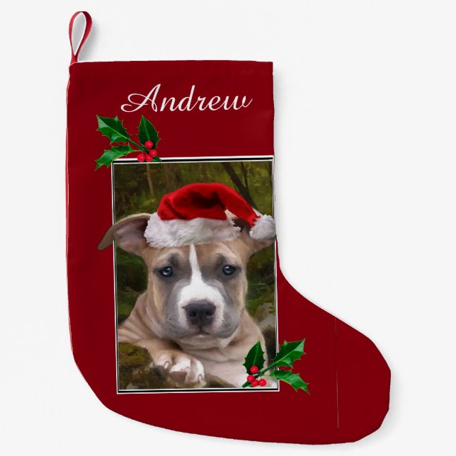 Petite Chaussette De Noël Bas personnalisé par chiot de pitbull de Noël (Devant)