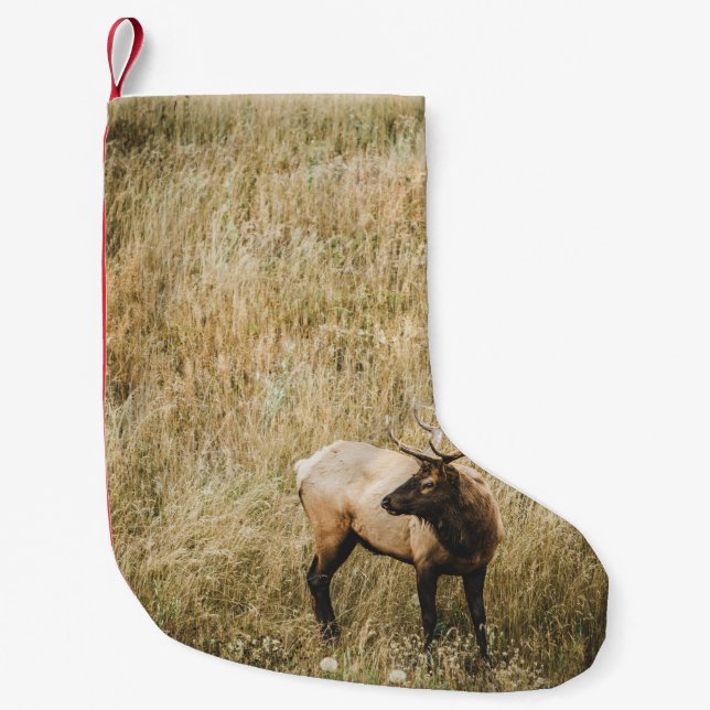 PETITE CHAUSSETTE DE NOËL BEAU CERF D'ELK (Devant)