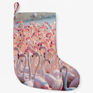 Petite Chaussette De Noël Belle et sauvage - Flamingosflock, plus, rose, d