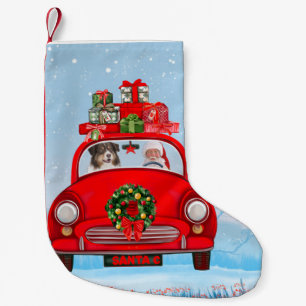 Petite Chaussette De Noël Berger Australien dans une voiture avec le Père No