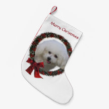 Bichon Frise Christmas