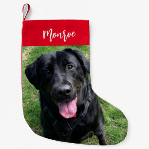 Petite Chaussette De Noël Black Lab Dog Personnalisé Animaux de Compagnie Ph