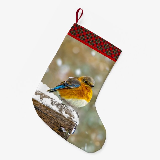 Petite Chaussette De Noël Bleuet de l'Est en neige - Photo originale (Devant (Accrochage))