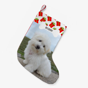 Petite Chaussette De Noël Boîtes Cadeaux Motif Os de Chien Photo d'Animal de