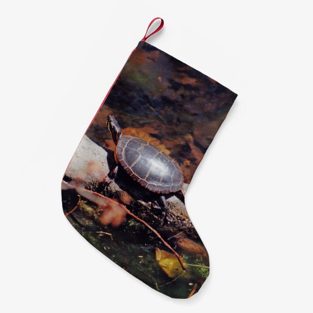 Petite Chaussette De Noël Bonne tortue (Devant (Accrochage))