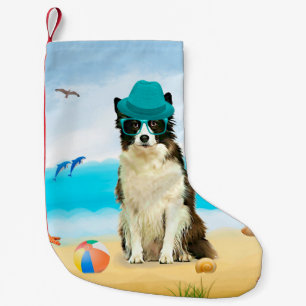 Petite Chaussette De Noël Bordure Collie Dog sur la plage