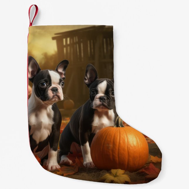 Petite Chaussette De Noël Boston Terrier Puppy Automne Citrouille de plaisir (Devant)