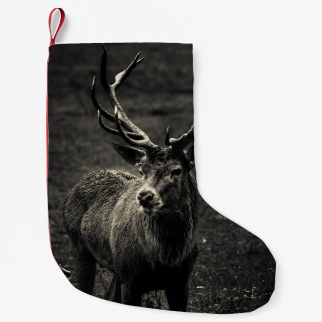 PETITE CHAUSSETTE DE NOËL BOUCLE À 12 POINTS (Devant)
