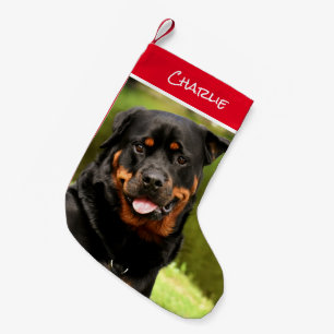 Petite Chaussette De Noël Boutique de Noël Rottweiler