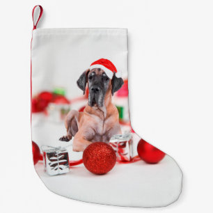 Petite Chaussette De Noël Casquette mignon de Père Noël de Noël de chien 