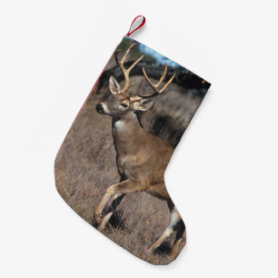 Petite Chaussette De Noël Cerfs communs de queue blanche