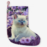 Chat Bébé Bleu Tiré Dans Panier Fleurs violettes