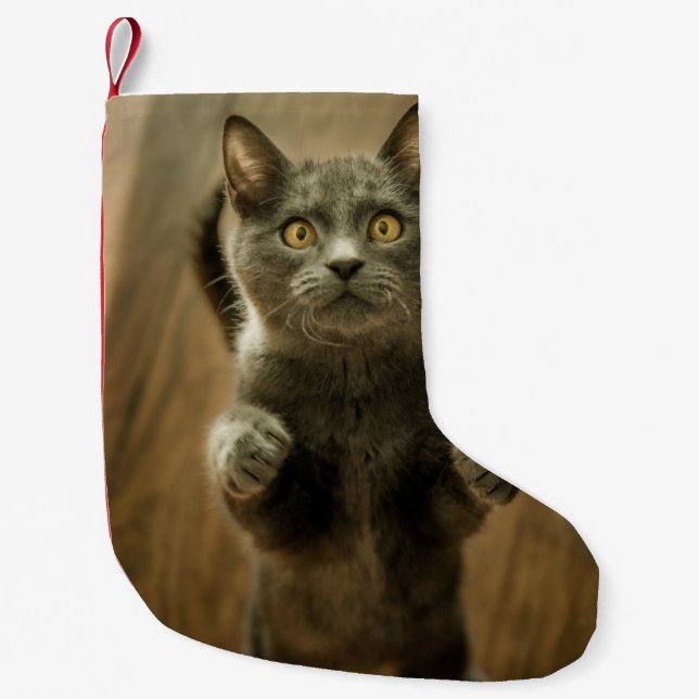 PETITE CHAUSSETTE DE NOËL CHAT GRIS EN DEUX PIEDS (Devant)
