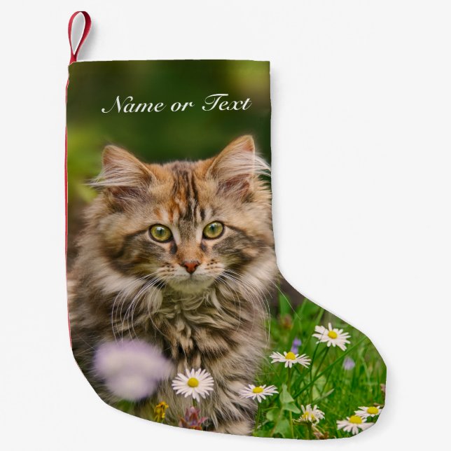 Petite Chaussette De Noël Chat mignon de chaton de ragondin du Maine - (Devant)