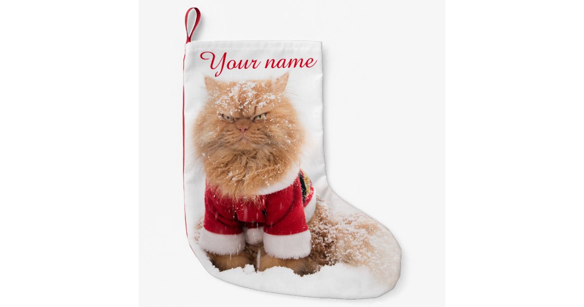 Petite Chaussette De Noel Chat Persan Avec L Equipement De Noel Dans La Zazzle Fr