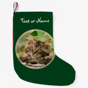 Petite Chaussette De Noël Chaton mignon de chat de ragondin du Maine - Père