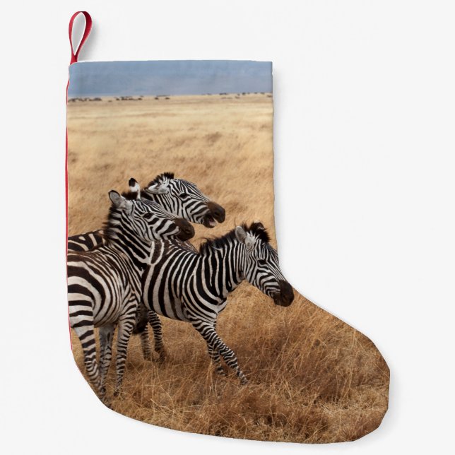 PETITE CHAUSSETTE DE NOËL CHEVAL RACE (Devant)