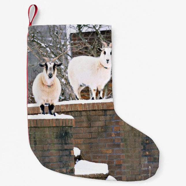 Petite Chaussette De Noël Chèvres de Noël (Devant)