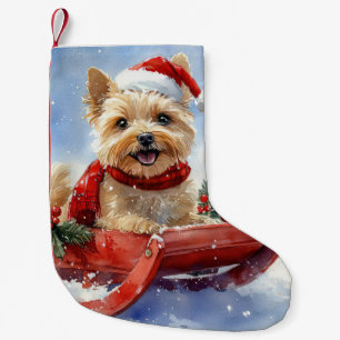 Petite Chaussette De Noël Chien Cairn Terrier dans un traîneau Laissez neige