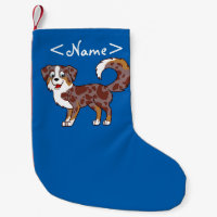 Chien de berger australien rouge de Merle