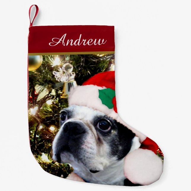 Petite Chaussette De Noël Chien de Boston Terrier de Noël (Devant)