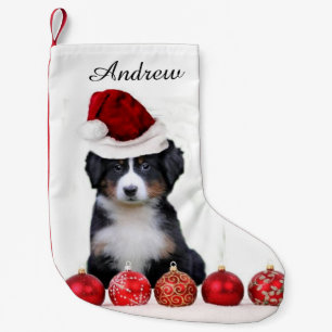 Petite Chaussette De Noël Chien de montagne de Bernese de Noël