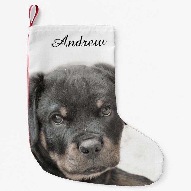 Petite Chaussette De Noël Chien de rottweiler (Devant)