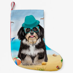 Petite Chaussette De Noël Chien Havanais sur la plage