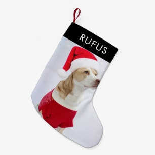 Petite Chaussette De Noël Chien Paw Thème Personnalisé Photo de Noël