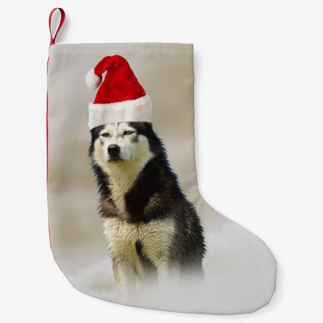 Petite Chaussette De Noël Chien sibérien Husky avec chapeau de Santa Hat en  (Devant)
