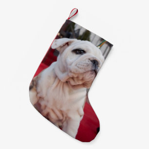 Petite Chaussette De Noël Chiot