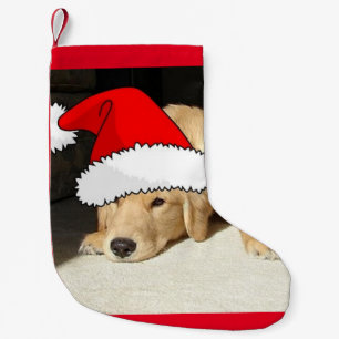 Petite Chaussette De Noël Chiot de Noël Golden Retriever